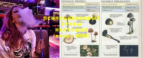 соль ск Воткинск