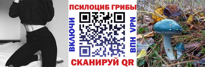 Псилоцибиновые грибы мухоморы  продажа наркотиков  Озёры 
